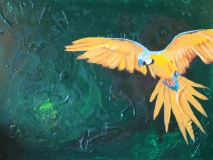 Feathers